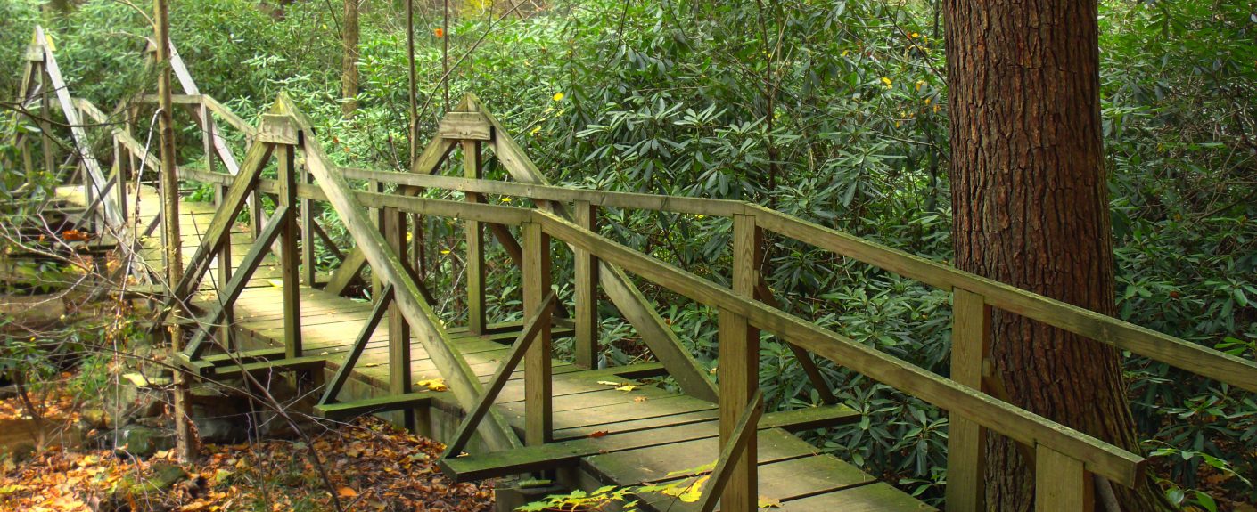 Rothrock State Forest